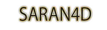 Logo SARAN4D